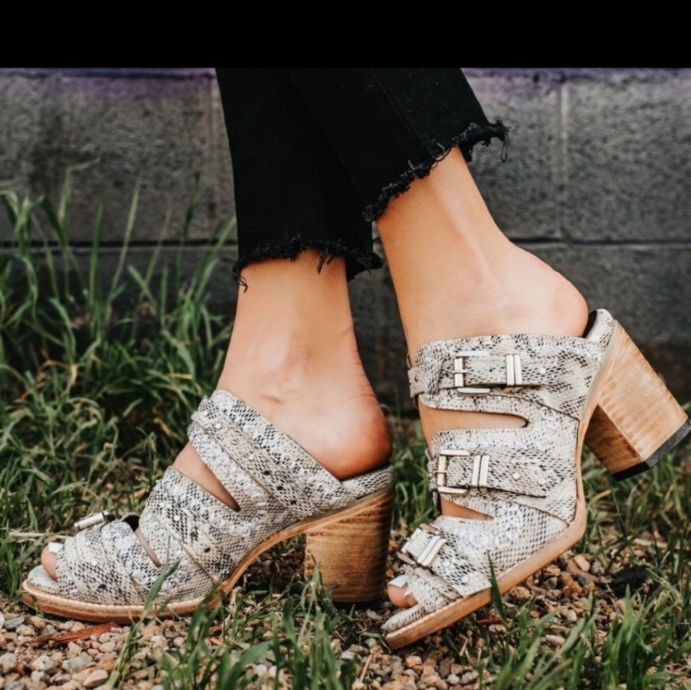NEW Freebird Caitlyn Black / White Snake size 8